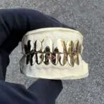 Grillz 16 piezas 18k