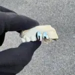 Canino y Lateral CROMO